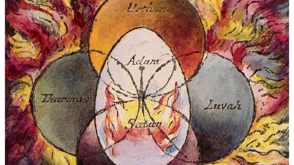 [Translate to English:] plakat wydarzenia- Can holobiont be considered an organism? - biologist and philosopher perspectives